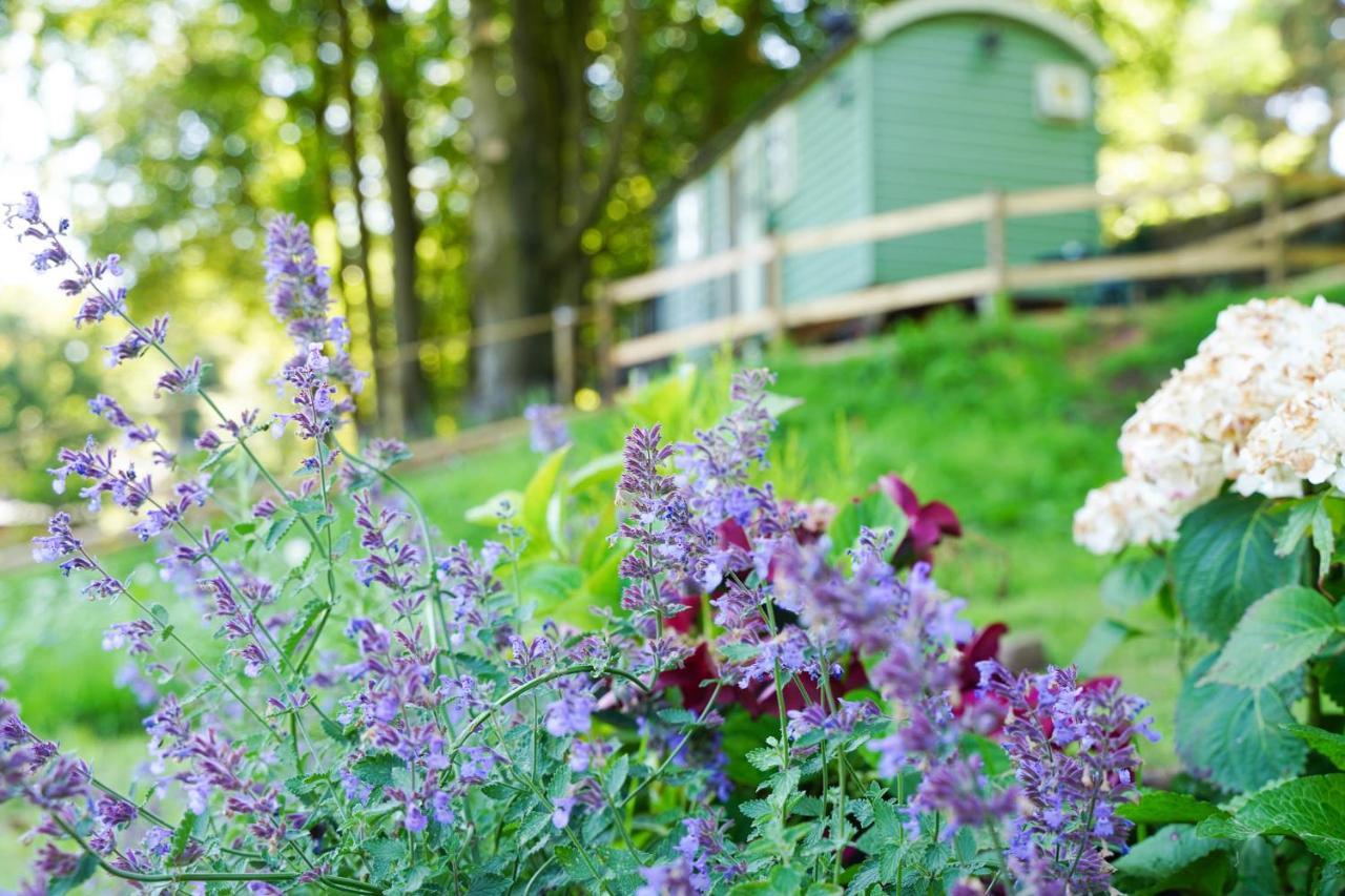 Lavender Retreat With Private Hot Tub ξενώνας Upper Hulme Εξωτερικό φωτογραφία